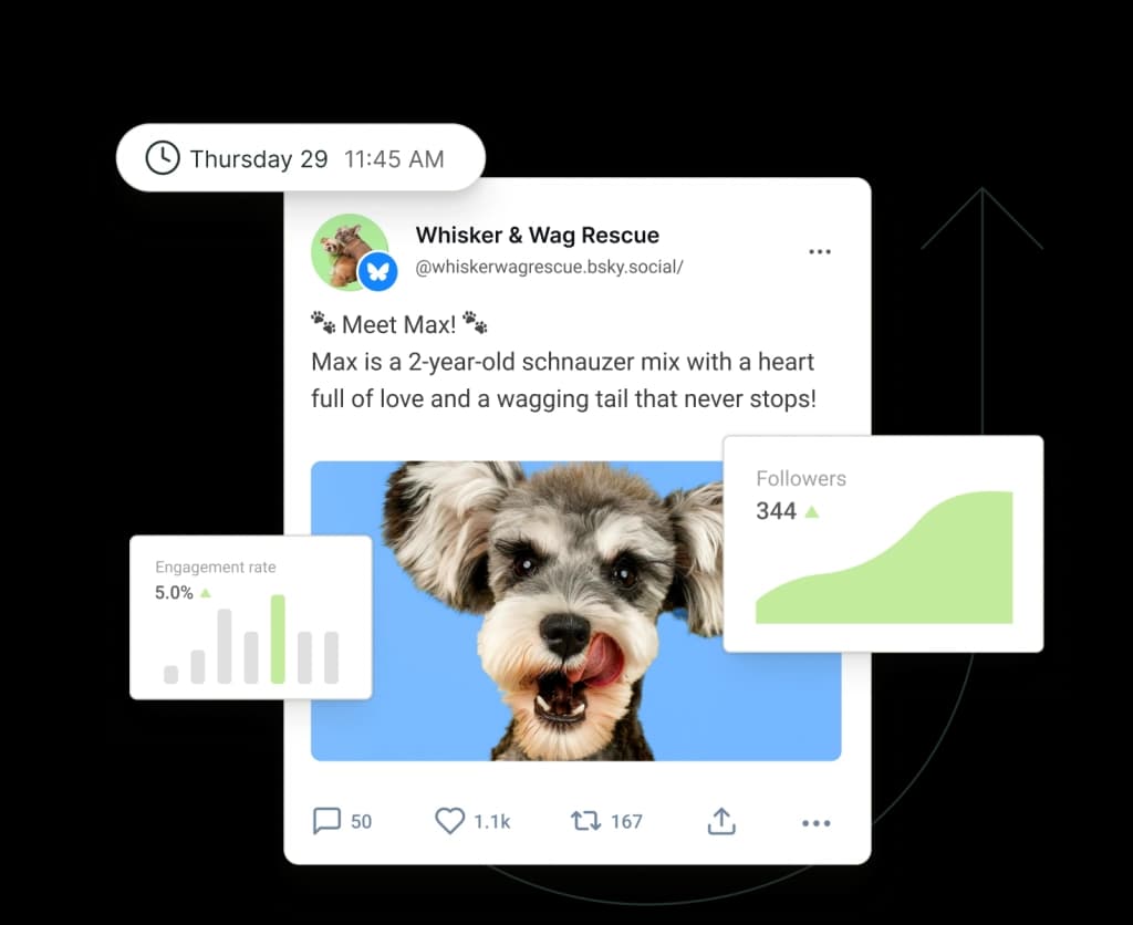 A post on Bluesky surrounded by floating graphs for followers and engagement rate.
