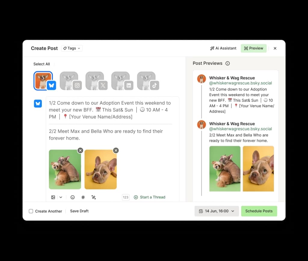 A create Bluesky thread screen with a text editor, image attachments, and a start thread option.
