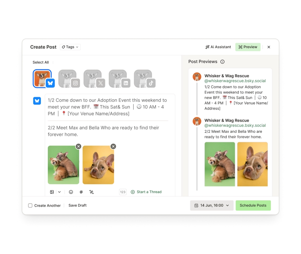 A create Bluesky thread screen with a text editor, image attachments, and a start thread option.